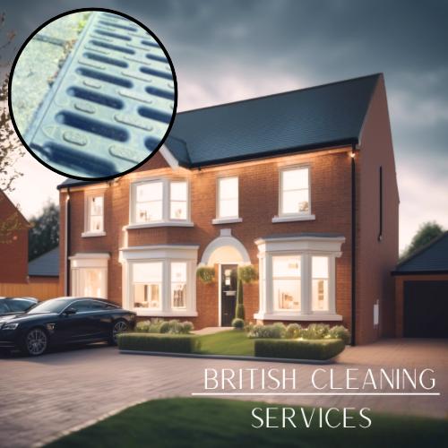 Detached House Rear Garden Floor Gutter Cleaning Service