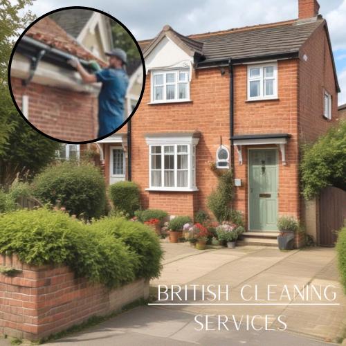 Semi Detached House Roof Gutter Cleaning Service