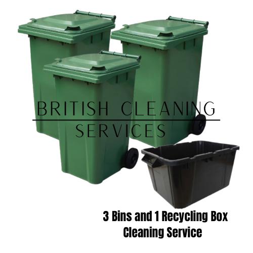 Three Bins and One Recycling Box Cleaning service