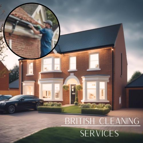 Detached House Roof Gutter Cleaning Service